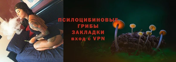 молекула духа Абинск