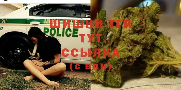 шишки Горнозаводск
