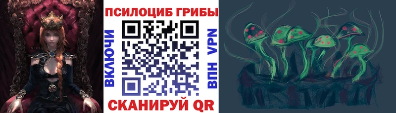 Псилоцибиновые грибы прущие грибы  mega онион  Троицк 